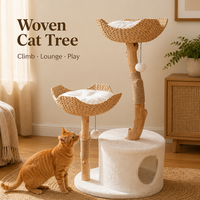 Arbre à chat minimaliste en bois massif avec panier en rotin, poteau à gratter en corde, emballé en carton, tour d'activités intérieure pour chats - Vente en gros