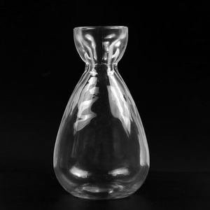 <span class=keywords><strong>Vase</strong></span> en verre pour plantes d'<span class=keywords><strong>avocat</strong></span>, <span class=keywords><strong>vase</strong></span> de démarrage pour plantes d'<span class=keywords><strong>avocat</strong></span>, <span class=keywords><strong>vase</strong></span> en verre pour la culture d'avocatiers - Product Image 5
