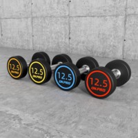 OKPRO pabrik penjualan langsung peralatan kebugaran Logo kustom bebas berat Gym dumbel berat Set PU Dumbbell