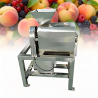 Industriële machine voor hoge productiviteit mango-pulper/fruchtpulp-sapmaker/mango-puree-extractor voor fruitverwerking