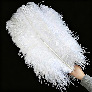 Piume di struzzo tinte, 16-32 <span class=keywords><strong>pollici</strong></span>/<span class=keywords><strong>40</strong></span>-80 <span class=keywords><strong>cm</strong></span>, decorazioni e forniture per matrimoni, abiti da cerimonia, eventi, fai da te - Product Image 1