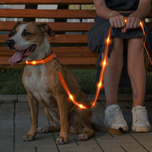 TIZE fabrika toptan Light Up köpek tasma evcil hayvan köpek aydınlatan yürüyüş gece parlayan USB şarj edilebilir Led lamba köpek tasma - Product Image 3