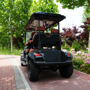 Spring 2026 LSV Street 4 Seater Golf Cart DOT/CE/FMVSS 500 Certified 72V Lithium 25MPH Low Speed Vehicle <b>70</b>-90km Minibu - Product Image 2