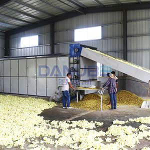 Secadora de Pellets de Biomasa con Cinta de Malla y Certificación de Calidad para Secado de Sunset Muskmallow - Product Image 2