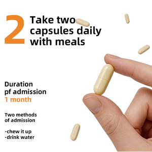 Süt Devedikeni Kompleksi 380mg Kapsül - Karaciğer Fonksiyonlarını Destekleyici Detoks Desteği Yetişkinler İçin 2 Kapsül/Portiyon 60 Kapsül OEM/ODM Toplu Tedarik - Product Image 5