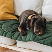 Kunden spezifische tragbare Hunde decken Wasserdichte Haustier-Schlaf decke Weiche Matte für Haustiere