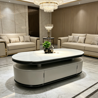 Table basse ovale en bois fritté avec rangement, table centrale moderne de luxe pour salon