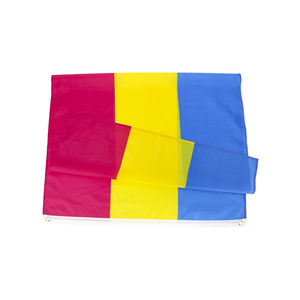Prêt à expédier 3X5FT 100% Polyester Chine fournisseur promotionnel <span class=keywords><strong>LGBT</strong></span> drapeau pansexuel - Product Image 2