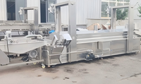 Nouvelle ligne de production entièrement automatique pour la friture d'anneaux d'oignon, grande friteuse à température constante pour poisson queue de cheval
