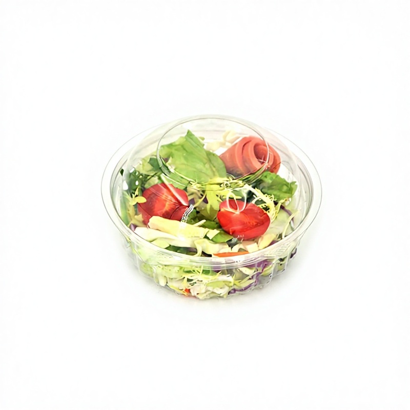 Wholesale Disposable Blister Food Packaging PET