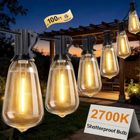 Guirlandes lumineuses LED personnalisées 24V IP44 en PVC, ampoules PET incassables longue durée, solutions d'éclairage extérieur à économie d'énergie