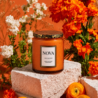 Bougie parfumée artisanale de luxe NOVA, dans un bocal en verre, cire de soja 100% biologique, décoration d'intérieur, personnalisable, Thanksgiving, fête des pères