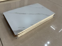 Panel de Revestimiento Metálico Aislado, Ignífugo e Impermeable con Aspecto de Mármol de Lujo para Villas Prefabricadas y Uso Comercial