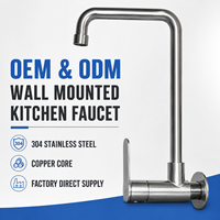 Robinet de cuisine mural en acier inoxydable 304 avec noyau en laiton, mitigeur à poignée unique, fabrication OEM ODM, approvisionnement en gros