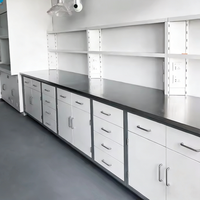 Muebles de Laboratorio, Gabinetes de Laboratorio Personalizados con Encimeras de Resina Epoxi