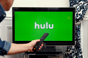 Consulenza Professionale per Operazioni di Hulu Live per il Settore dei Media Transfrontalieri - Product Image 4