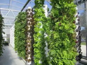 Estufa hidroponia crescente Agricultura Plantando torre vertical sistema hidropônico fazenda vertical