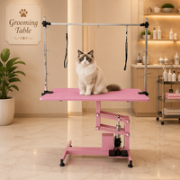Table de toilettage électrique élévatrice réglable en hauteur pour grands chiens EUR PET Table de toilettage pour chiens