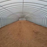 Serre tunnel agricole à portée unique grande taille pour culture de légumes, à faible coût, avec couverture en plaques PC, marque YanPeng - Offre Spéciale