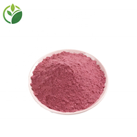 Poudre d'extrait de fruit miracle en vrac, poudre de baie miracle, poudre de Synsepalum dulcificum, fournie par l'usine