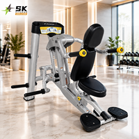 SK Fitness Machine à dips triceps assis, Entraîneur de triceps à double bras, Siège réglable, Équipement de gym commercial, Vente en gros usine
