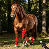 Terapia de Luz Roja para Patas de Caballo 660nm 850nm, Equipo de Terapia Equina, Envoltura Post-Entrenamiento para Caballos de Carreras, Equipo de Fisioterapia para Mascotas