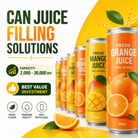 Machine de remplissage et de sertissage automatique de canettes de boissons à 12 buses, 2000 BPH, 220V/380V, en acier inoxydable 304, facile à utiliser, certifiée CE