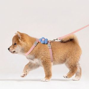 Arnés y Correa Premium para Gatos, Ajustable, en Forma de H, Acolchado, para Gatitos y Cachorros, para Paseos al Aire Libre, Resistente - Product Image 5
