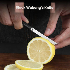 Couteau à fruits professionnel en acier inoxydable pour l'extérieur, couteau à viande pour usage domestique, haute dureté et tranchant, couteau de poche Dragon-Feng - Product Image 3