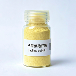 Bacillus Subtilis 100 milliards UFC/<span class=keywords><strong>g</strong></span>, additif enzymatique anti-E. coli pour l'alimentation des jeunes porcs, poussins, agneaux et veaux en élevage intensif - Product Image 5