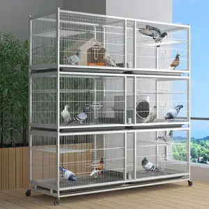 Grande Cage à Oiseaux à Vendre Multicouche Mobile Splice Gentoo Perroquet Spécial Grande Cage à Oiseaux