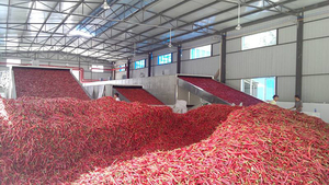 Máquina Automática para Produção de Pó de Pimenta, Linha de Processamento de Pimenta - Product Image 5