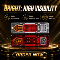 Feu arrière LED personnalisé 12V 24V étanche, feu combiné arrière pour camion, remorque, véhicule agricole