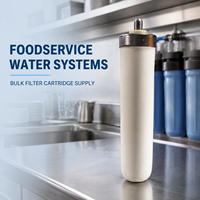 Élément filtrant en céramique OEM ODM de 10 pouces pour systèmes d'eau sous évier, sur comptoir et commerciaux