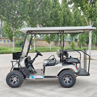 Voiturette de golf électrique tout-terrain homologuée pour la route, 3 ou 4 places, batterie lithium 48V, solaire