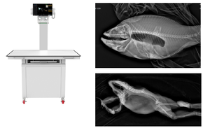 Yeni dijital <span class=keywords><strong>x</strong></span> ışını makinesi vet hayvan 20KW 320ma 30KW fix düzeltme tipi 120kV jeneratör tüp - Product Image 2