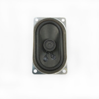 ZXGS Fabrikası Tarafından Sağlanan 40x70mm İnce 8 Ohm 5W Kumaş ve Kağıt Konili Hoparlör Amplifikatör TV Aksesuarları