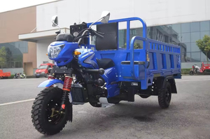 Tricycle motorisé à essence 200CC à carrosserie ouverte pour le transport de marchandises et l'agriculture, 36V, 50-70Km/h - Product Image 2
