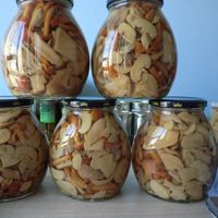 Assortiment de Champignons en Conserve de Qualité Supérieure, Variétés Mixtes, Présentés dans l'Eau, Champignons Comestibles Nutritifs, Légumes Conservés pour la Restauration