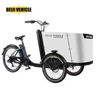 CE Electric Reverse Cargo Trike for Adult