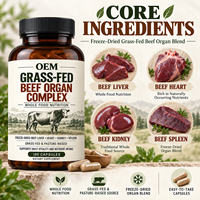 Capsules Premium de Complexe d'Organes de Bœuf Nourri à l'Herbe Lyophilisées – Nutrition Complète pour la Vitalité Quotidienne – Marque Privée, Fournisseur OEM en Gros
