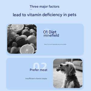 Suplemento multivitamínico 8 en 1 suave para masticar con logotipo personalizado OEM 120, suplementos vitamínicos naturales para perros, golosinas para perros, gatos, cuidado de la salud - Product Image 2