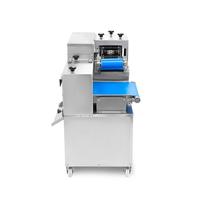 Machine de découpe industrielle en cubes pour viande de bœuf, poitrine de poulet, porc frais, poisson - Machine de fabrication de produits carnés de haute qualité