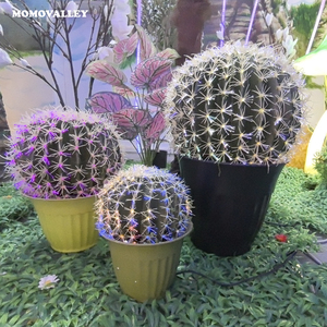 Lámpara <span class=keywords><strong>de</strong></span> decoración <span class=keywords><strong>de</strong></span> <span class=keywords><strong>Cactus</strong></span> Momovalley LED Glow Ball, iluminación única inspirada en el desierto para interiores y exteriores, <span class=keywords><strong>luz</strong></span> creativa, temas <span class=keywords><strong>de</strong></span> naturaleza - Product Image 1