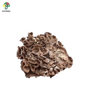 Extrait de champignons Maitake et Polyporus en poudre, 30% de bêta-glucane, qualité alimentaire, extraction liquide-solide - Product Image 3