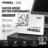 PUSKILL SSD 256 Go 2,5 pouces SATA III 6 Gb/s Disque SSD interne Vente en gros Stock en vrac Direct usine OEM ODM Garantie 3 ans