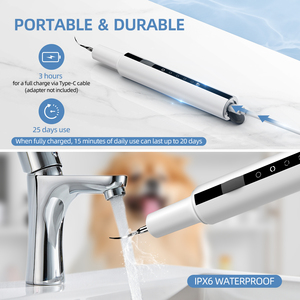 Prodotto a ultrasuoni dispositivo di rimozione della placca per animali domestici pulitore denti ad ultrasuoni cane Kit di pulizia dentale strumento di cura dentale ricaricabile - Product Image 3