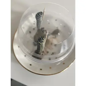 Kit de Elevación de Farfalle - Product Image 3