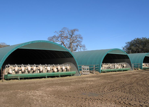 Fabricant chinois de tentes d'abri pour bétail et moutons en tissu PVC anti-corrosion, construction rapide et grande capacité - Product Image 3