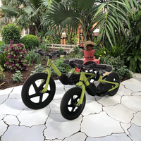 Bicicleta eléctrica de equilibrio para niños 21V 200W 6Ah Niños sin pedales Bicicleta eléctrica de juguete para niños de 16 pulgadas